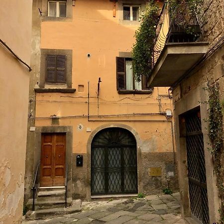Viterbo Art Apartments Dış mekan fotoğraf