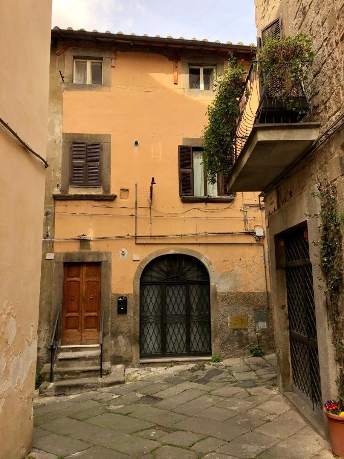 Viterbo Art Apartments Dış mekan fotoğraf